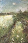 Flowering Meadow at Veierland (nn02 Edvard Munch